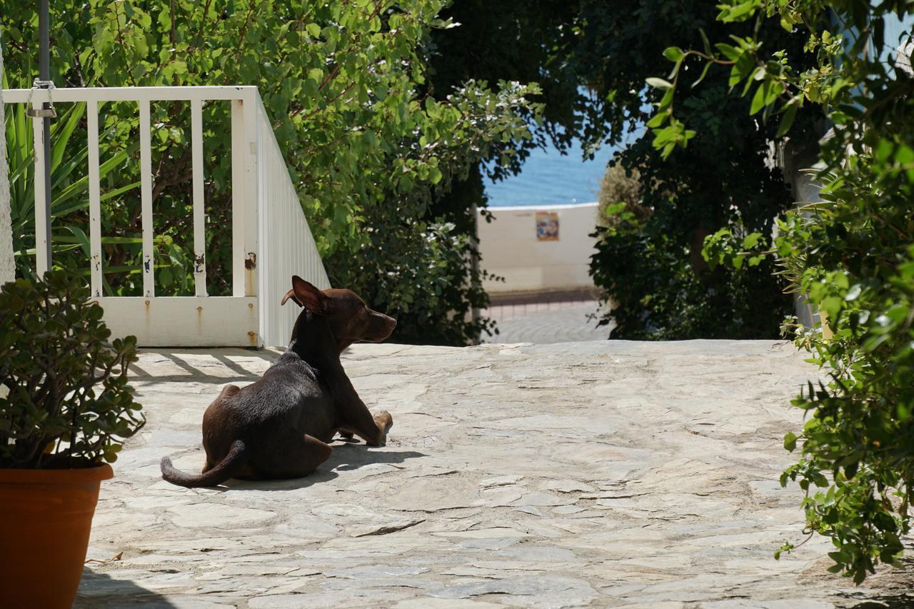Galini Mare Hotel Agia Galini  Ngoại thất bức ảnh